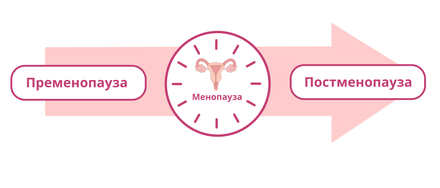 Этапы менопаузы. Фазы климактерического периода у женщин. Стадии климакса. Стадии кли Акса.